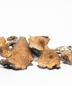 pf classic magic mushrooms