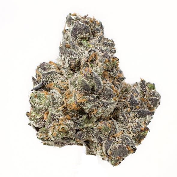 Apple Fritter X Runtz Strain