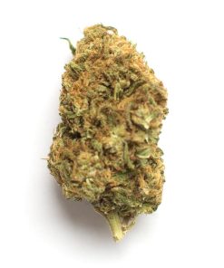 Bubble Gum Silky Strain