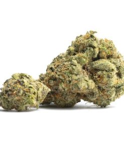 Gelato 45 Strain