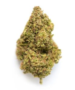 gelonade strain
