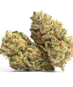 Godfather OG Strain