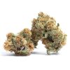 Governmint Oasis Strain