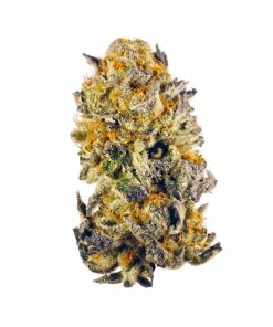 Grape Candy Gas Strain