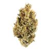 Tropical Gushers Strain