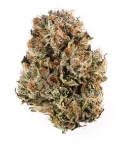 Ice Cream Cookies Strain