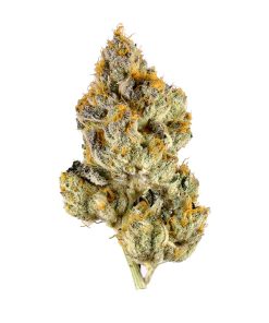 Lemon Cherry Gelato Strain For Salle