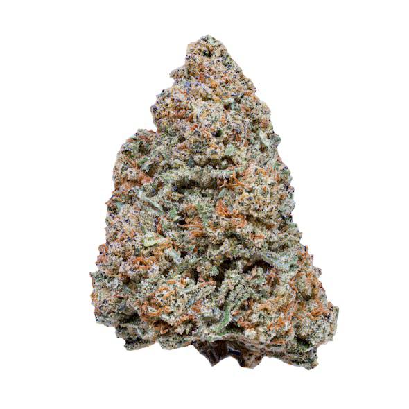 mac1 strain