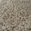 Percocet 10-325mg