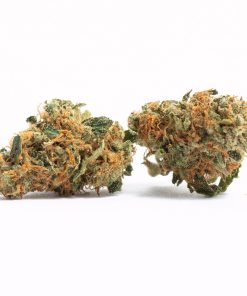 Sherbert X Runtz Strain