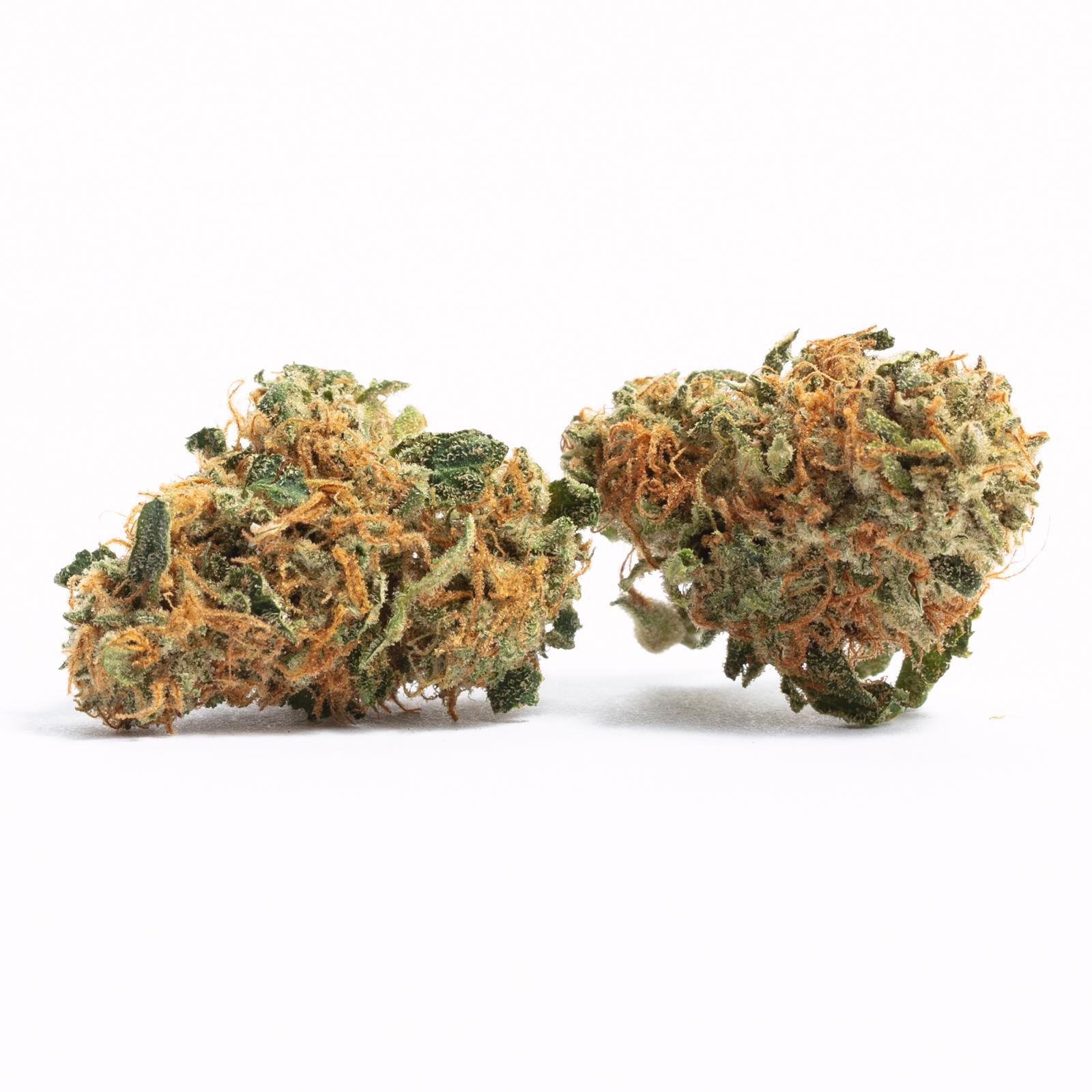Sherbert X Runtz Strain
