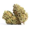 Sacred Ash Strain