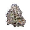Sluricane Strain