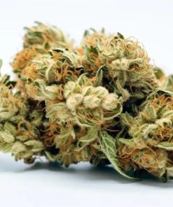 Tiffany Haupia Strain