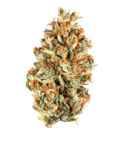 Sunset Daquiri Strain