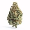 White Cherry Runtz Strain​